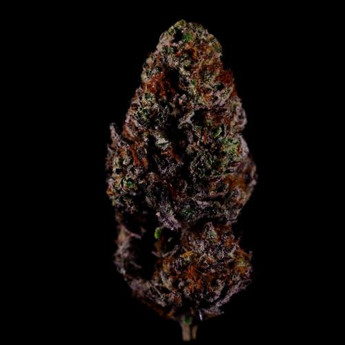 Gorilla Melon. Week 17