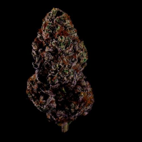 Gorilla Melon. Week 17