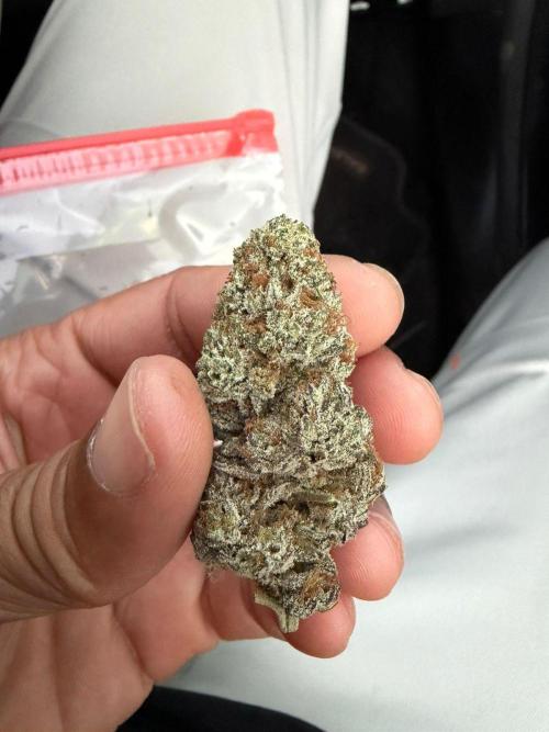 Apple Strudel. Week 10