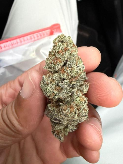 Apple Strudel. Week 10