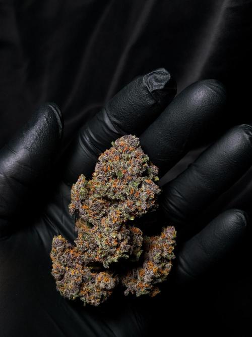 Banana Purple Punch Auto RF3. Week 9