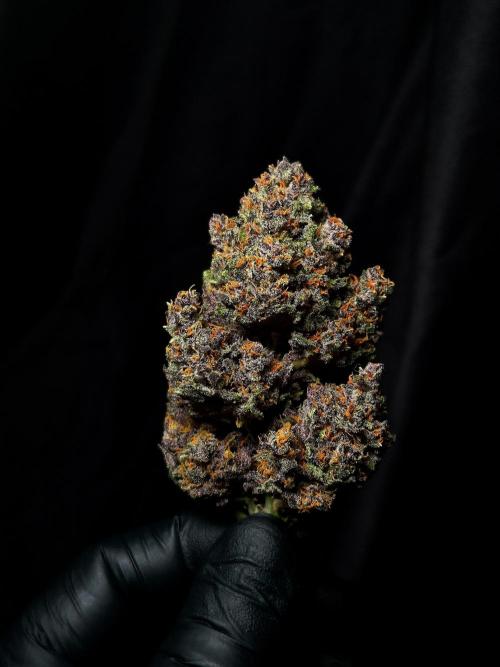 Banana Purple Punch Auto RF3. Week 9