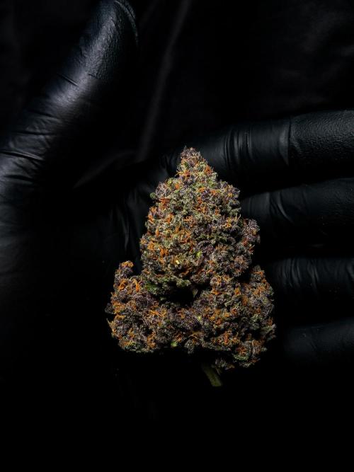 Banana Purple Punch Auto RF3. Week 9