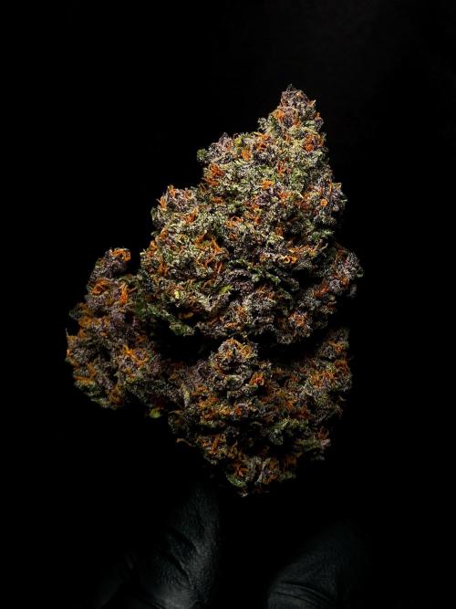 Banana Purple Punch Auto RF3. Week 9