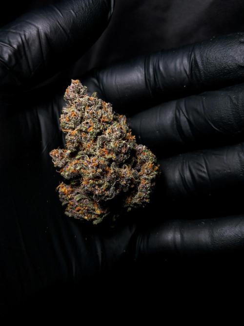 Banana Purple Punch Auto RF3. Week 9