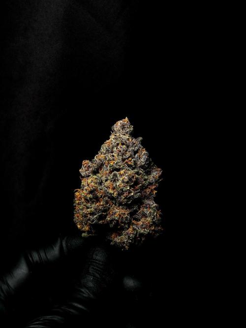 Banana Purple Punch Auto RF3. Week 9