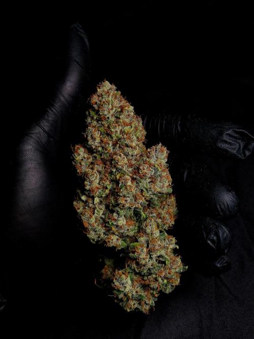 Banana Purple Punch Auto RF3. Week 9