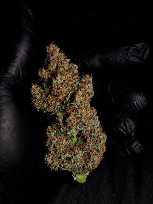 Banana Purple Punch Auto RF3. Week 9