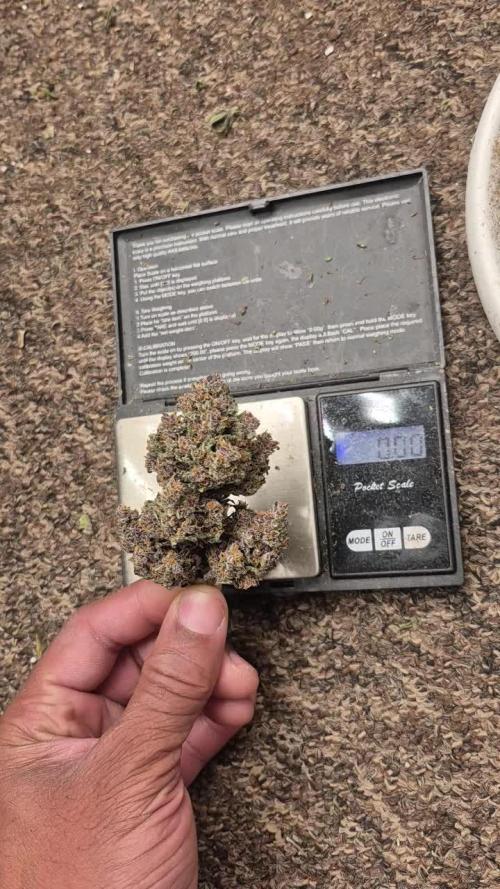 Banana Purple Punch Auto RF3
