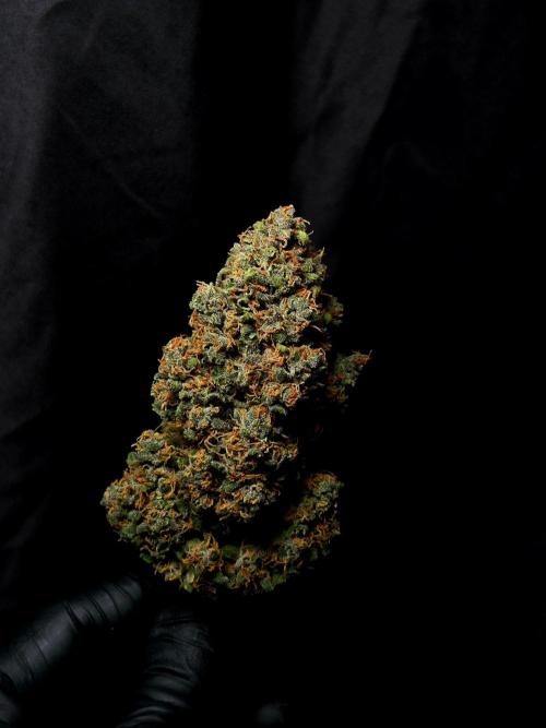 Banana Purple Punch Auto RF3 #2. Week 9