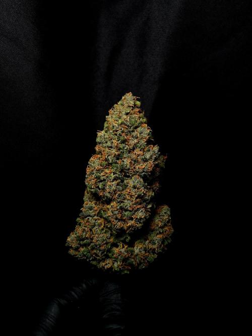 Banana Purple Punch Auto RF3 #2. Week 9