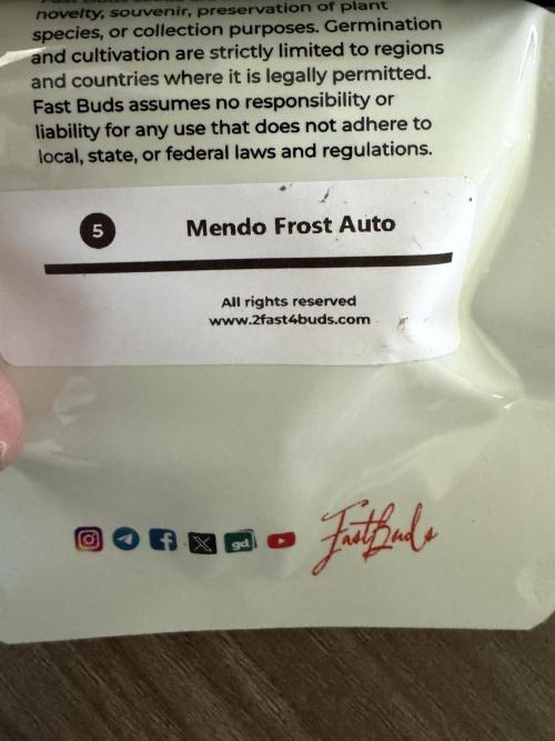 Fastbuds Mendo Frost Auto. Week 0