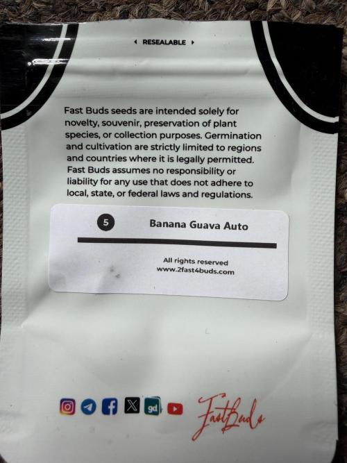 Fastbuds Banana Gauva Auto. Week 0