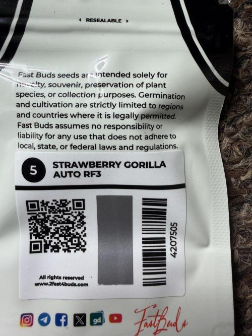 Fastbuds Starwberry Gorilla RF3. Week 0