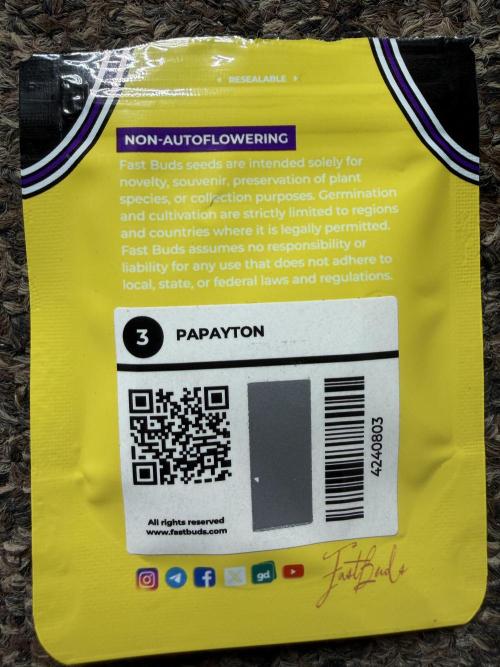 Fastbuds Papayton. Week 0