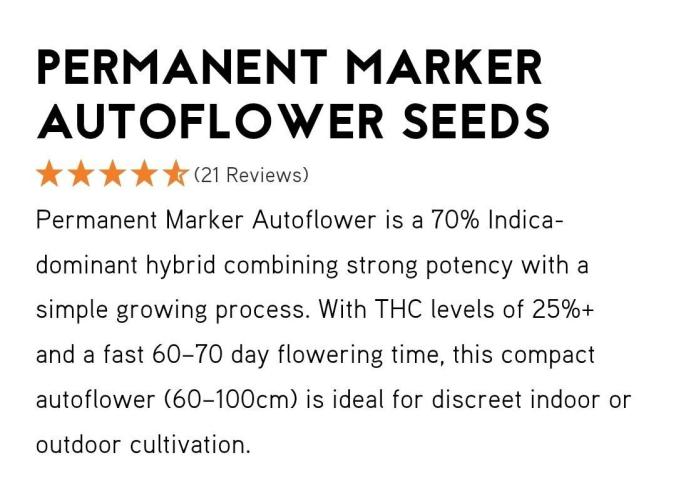 Auto Seeds trio. Week 0