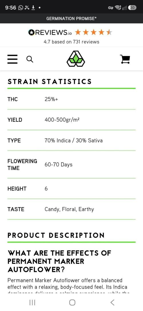 Auto Seeds trio. Week 0