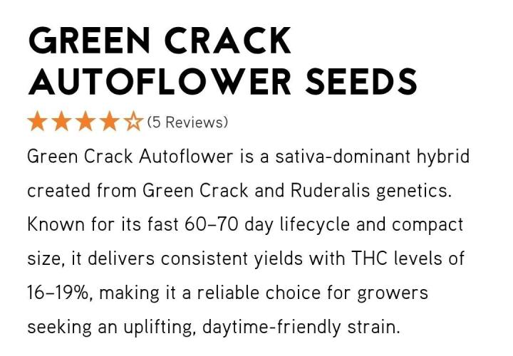 Auto Seeds trio. Week 0