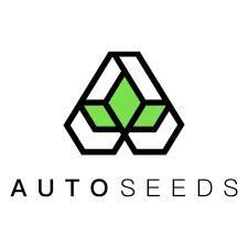 Auto Seeds trio. Week 0