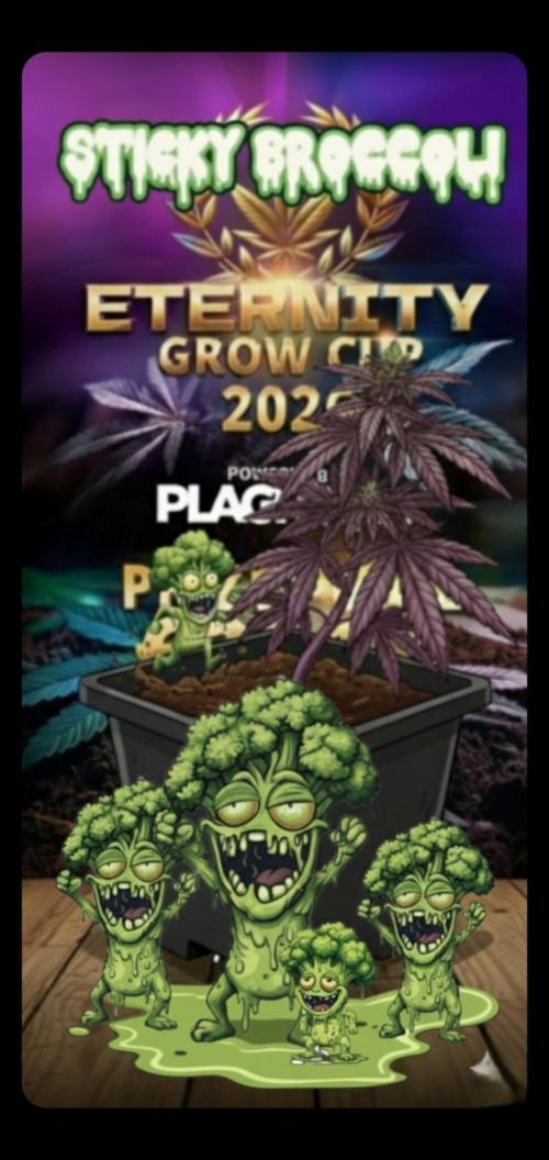 Eternity Grow Cup. Week 0