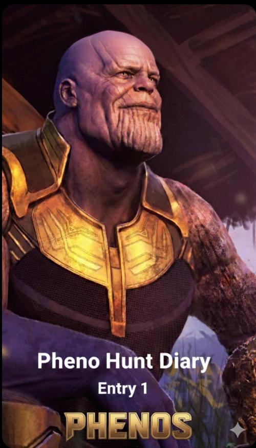 Pakistan Chitral Kush. Regular. Week 0