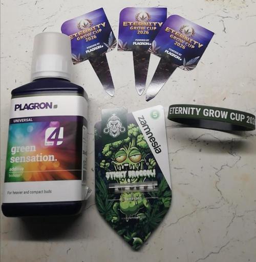 Eternity Grow cup. Week 0