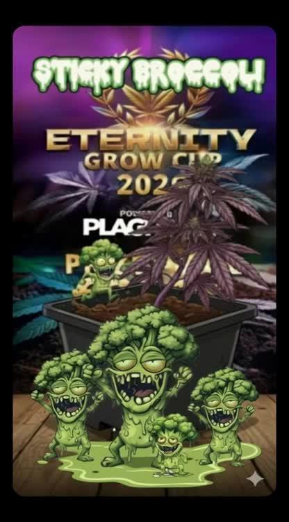 Eternity Grow cup 2026