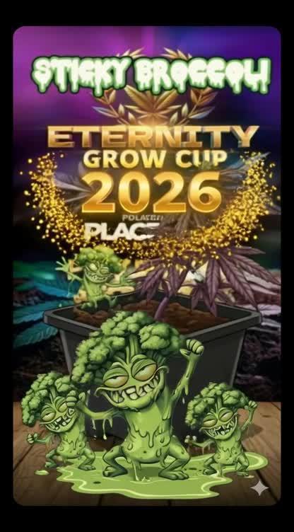 Eternity Grow cup 2026
