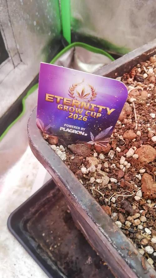 🏆 Eternity Grow Cup 🏆 2026