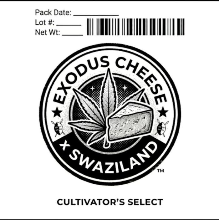 Cheesy Landrace GHSeeds. Week 0