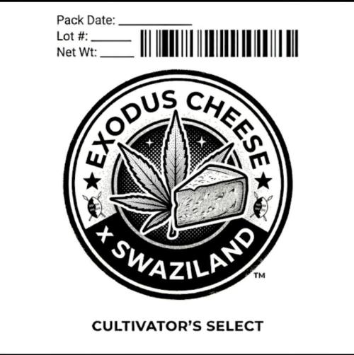 Exodus Cheese x Swaziland. Week 0