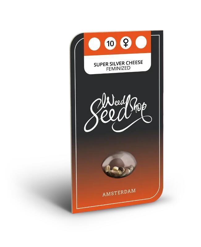 Super Silver Cheese.. WeedSeedShop. Week 0