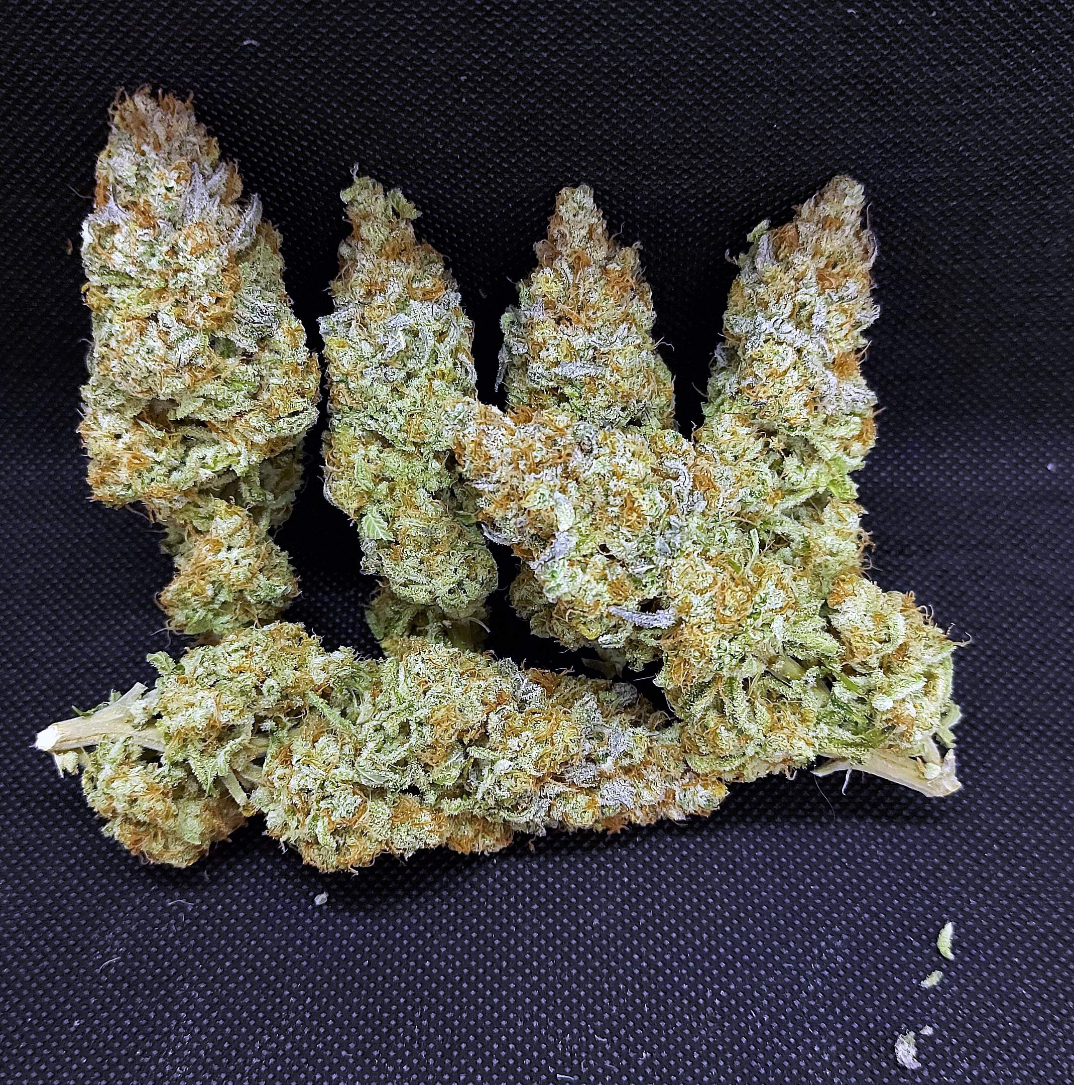 ETHOS Cherry Garseeya R1 grow journal harvest15 by GrowDiaries