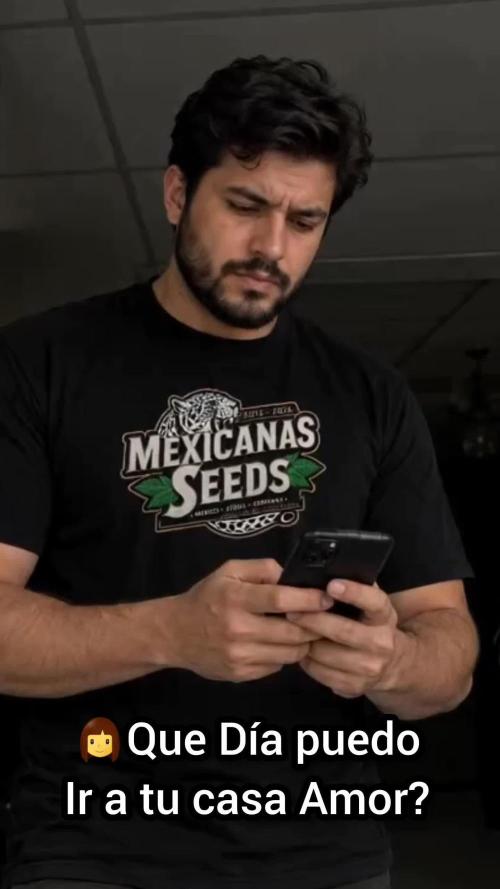 Mexicanas Seeds Company. - Cookies Fotoperiodica Feminizada  by Mexicanasseeds