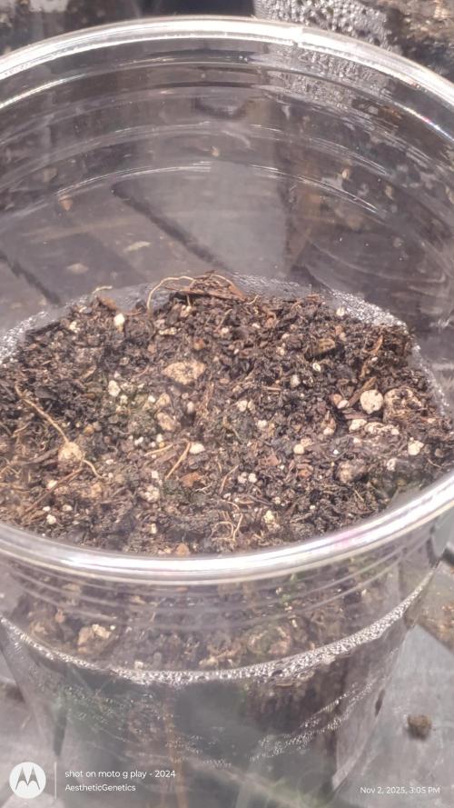 PLCG Bx2. Week 0 - 5