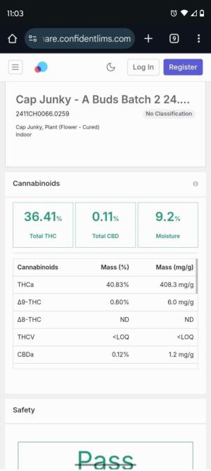 Comment by AestheticGenetix photo #1