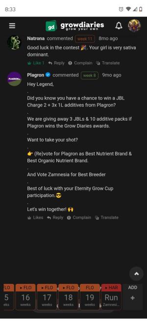 Comment by AestheticGenetix photo #1