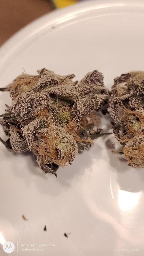 Purple Chrome 💜 (round 2). Week 13