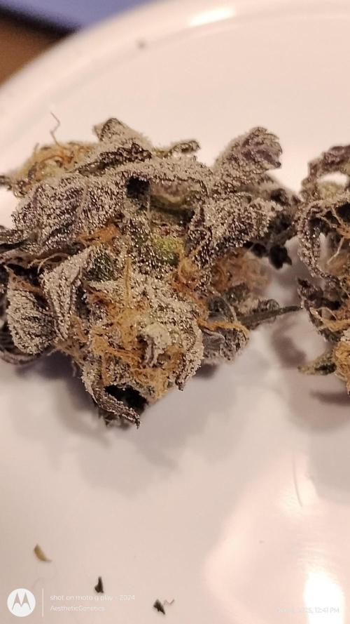 Purple Chrome 💜 (round 2). Week 13