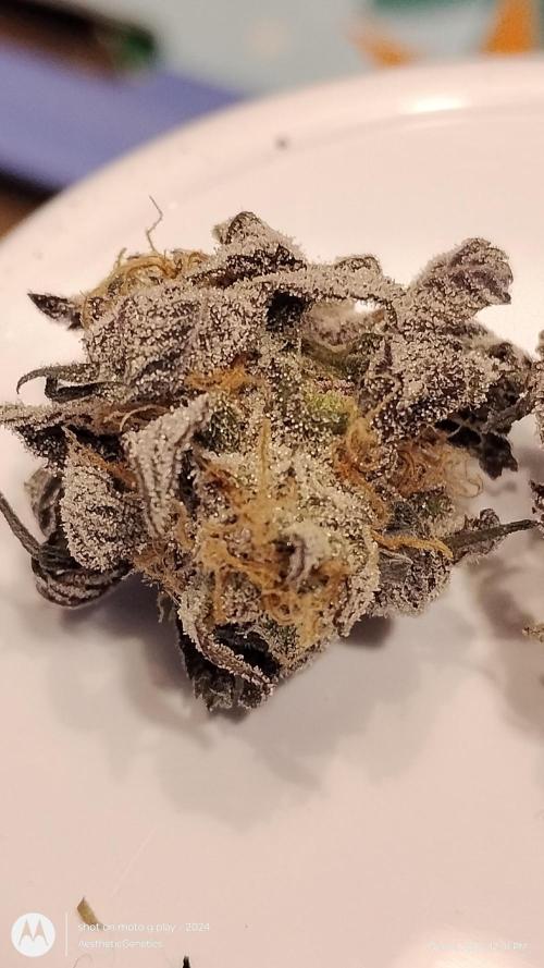 Purple Chrome 💜 (round 2). Week 13