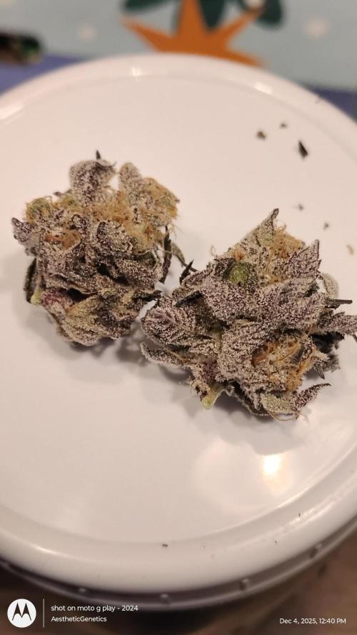 Purple Chrome 💜 (round 2). Week 13