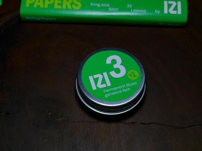 Izi Seeds- Permanent Blues. Week 0