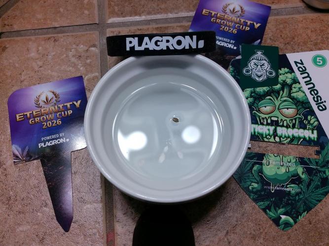 Eternity Grow Cup 2026. Week 0