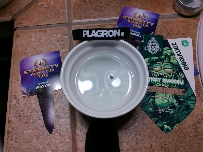 Eternity Grow Cup 2026. Week 0