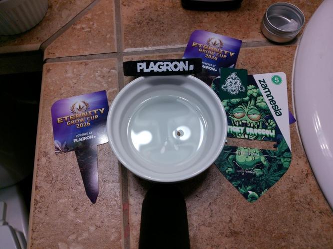 Eternity Grow Cup 2026. Week 0