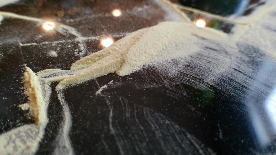 Reveg & Pollination. Week 9