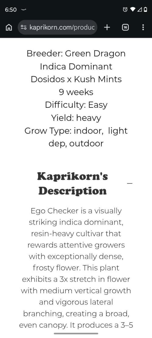 Ego Checker. Week 0