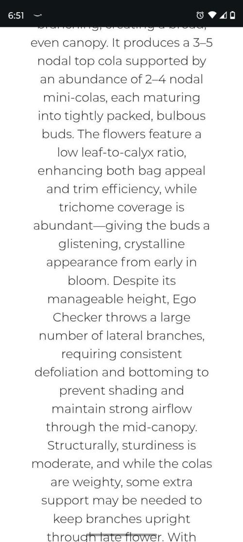 Ego Checker. Week 0