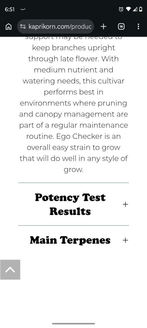 Ego Checker. Week 0