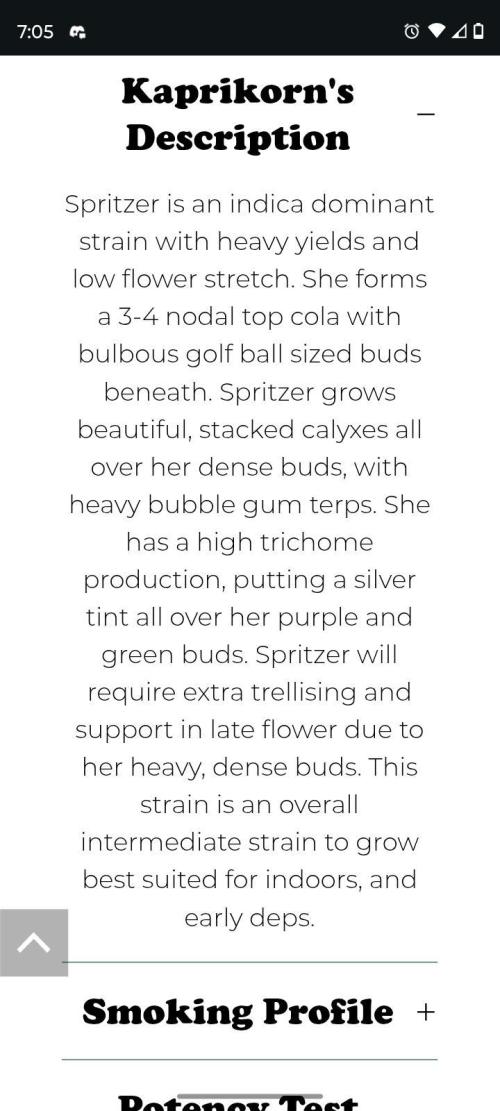 Spritzer Cannarado. Week 0
